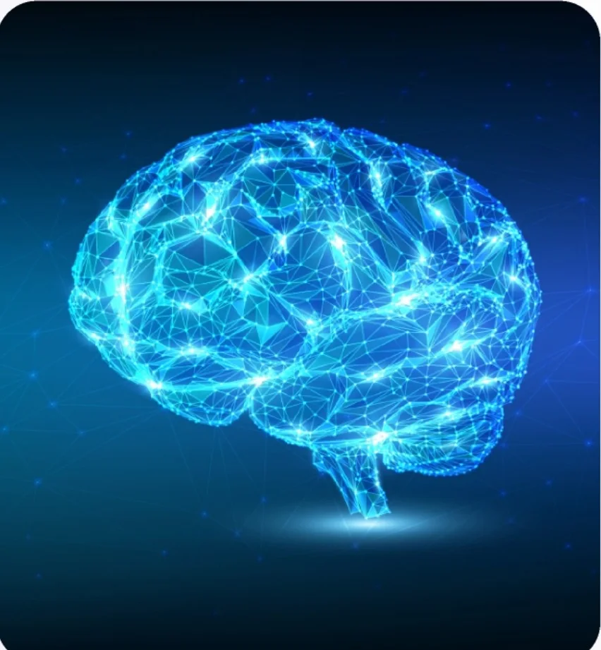 Svítící mozek – Neuro-lingvistické programování